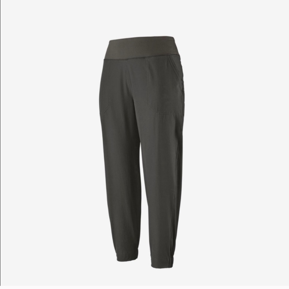 Patagonia pants